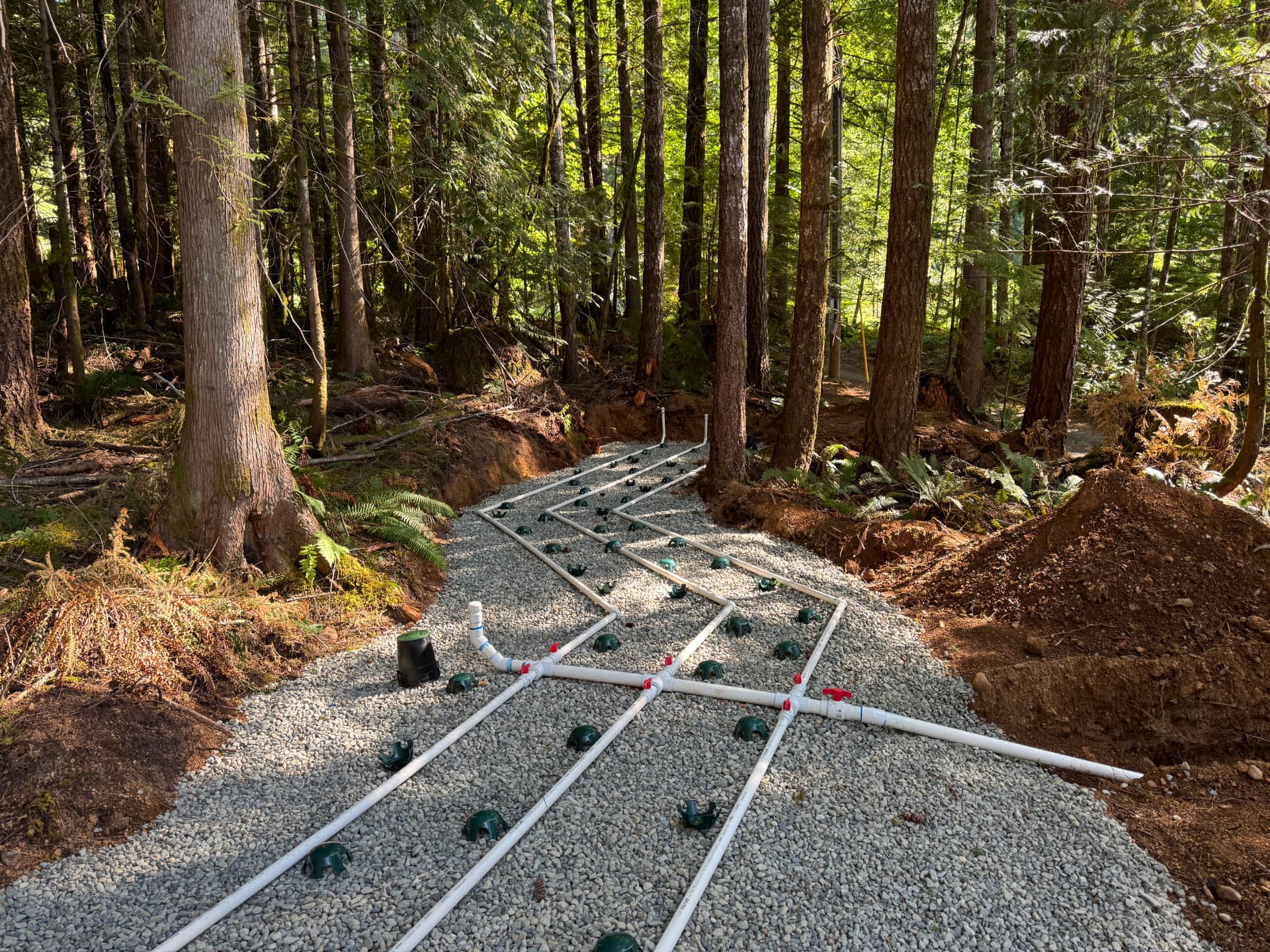 Distribution-field construction on a forested Sproat Lake property